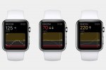Apple Watch Glucose Monitoring